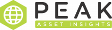 Logo_Peak_Asset_Insights